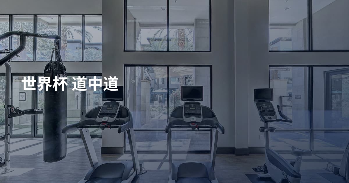 世界杯 道中道