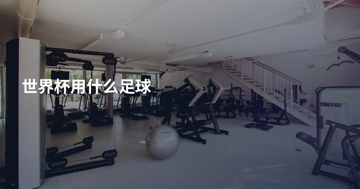 世界杯用什么足球
