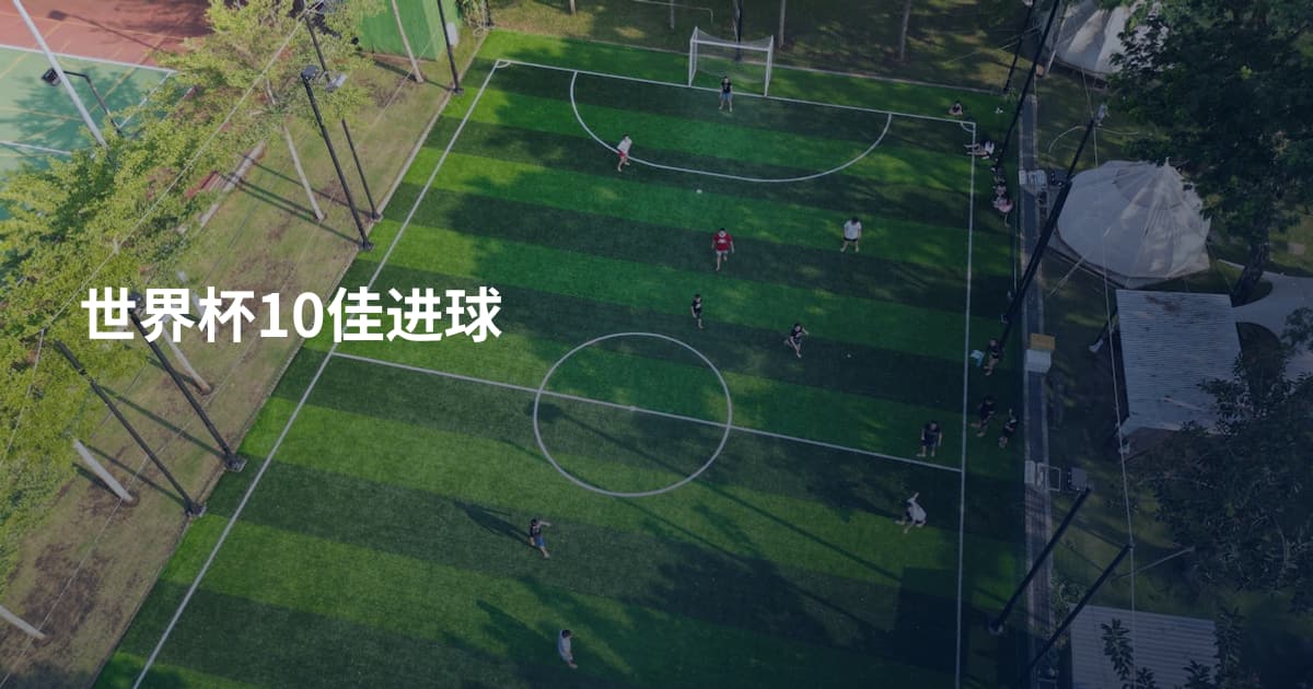 世界杯10佳进球