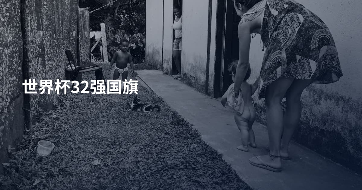世界杯32强国旗