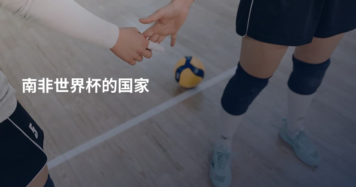 南非世界杯的国家
