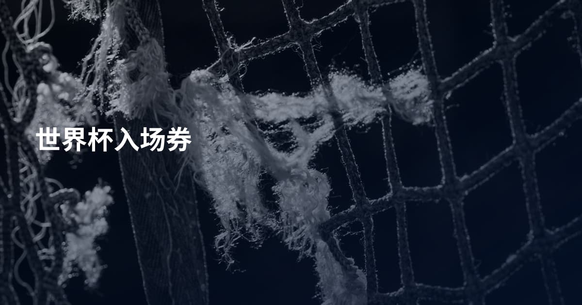 世界杯入场券
