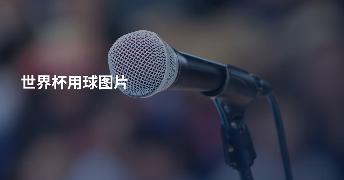 世界杯用球图片