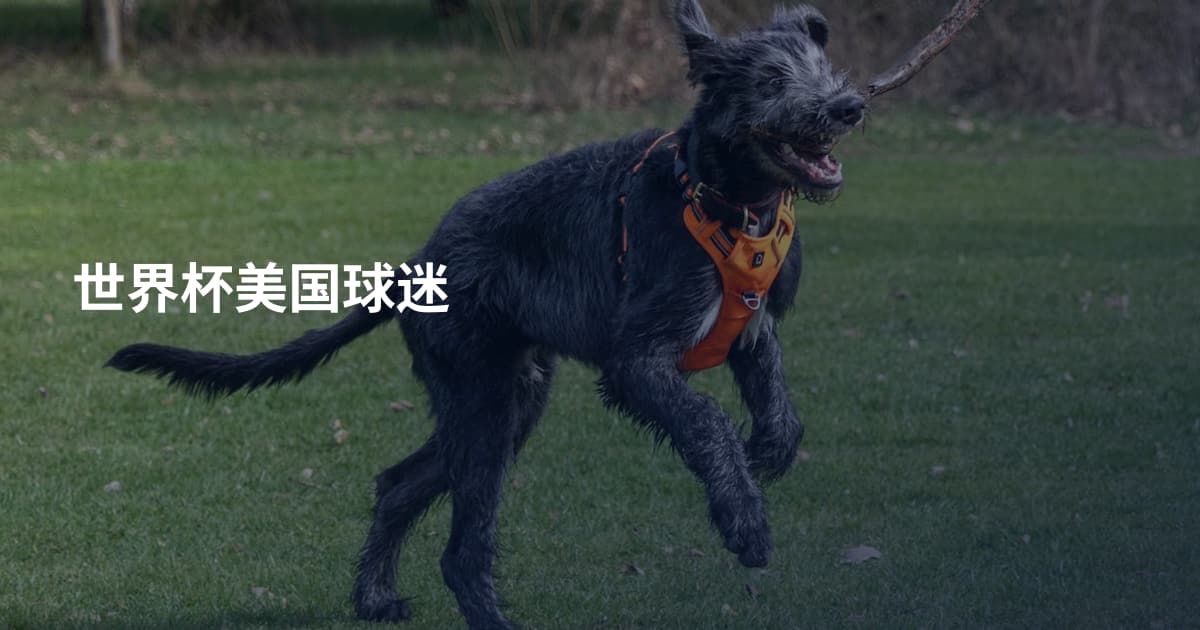 世界杯美国球迷