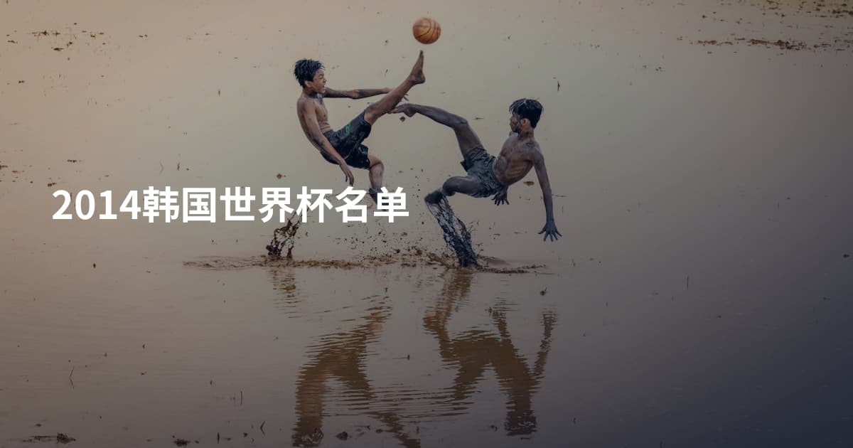 2014韩国世界杯名单