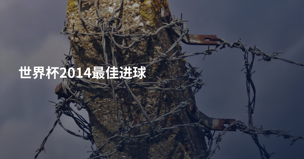 世界杯2014最佳进球