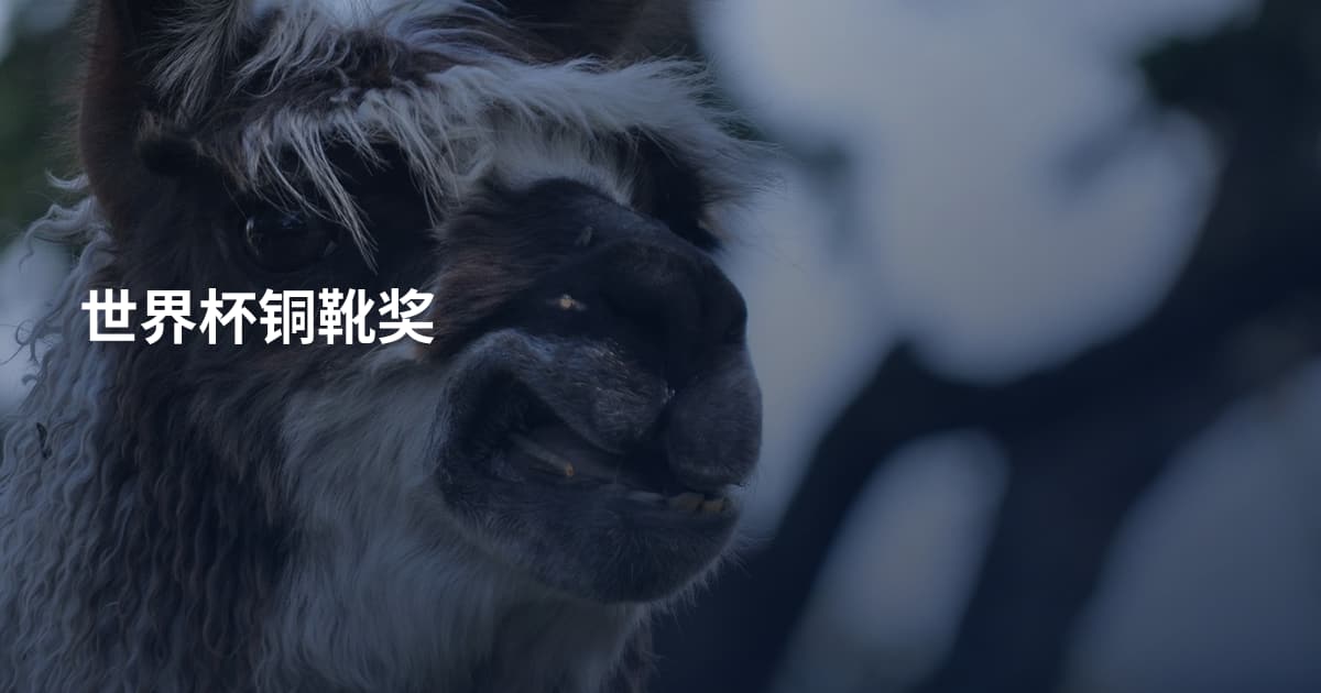世界杯铜靴奖