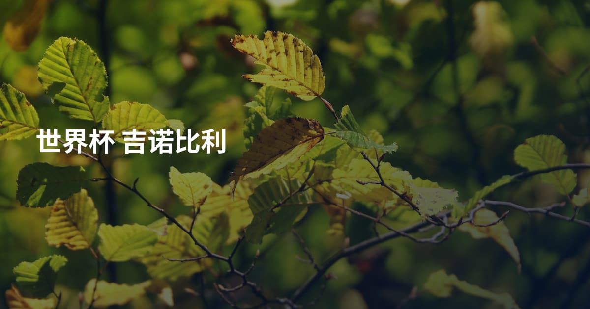 世界杯 吉诺比利