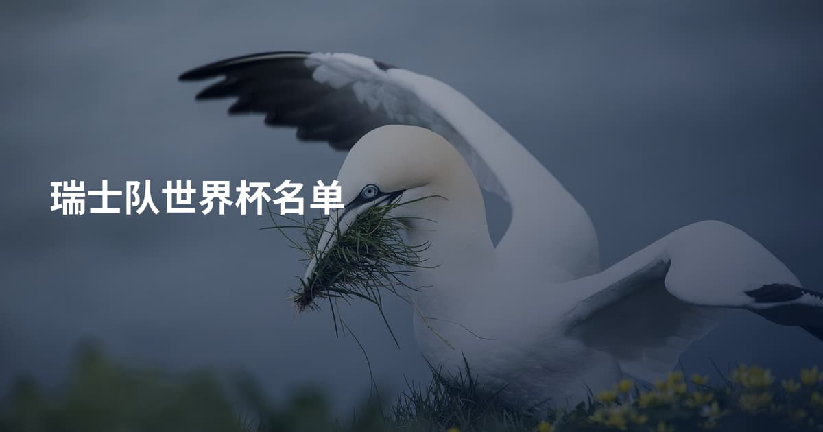 瑞士队世界杯名单