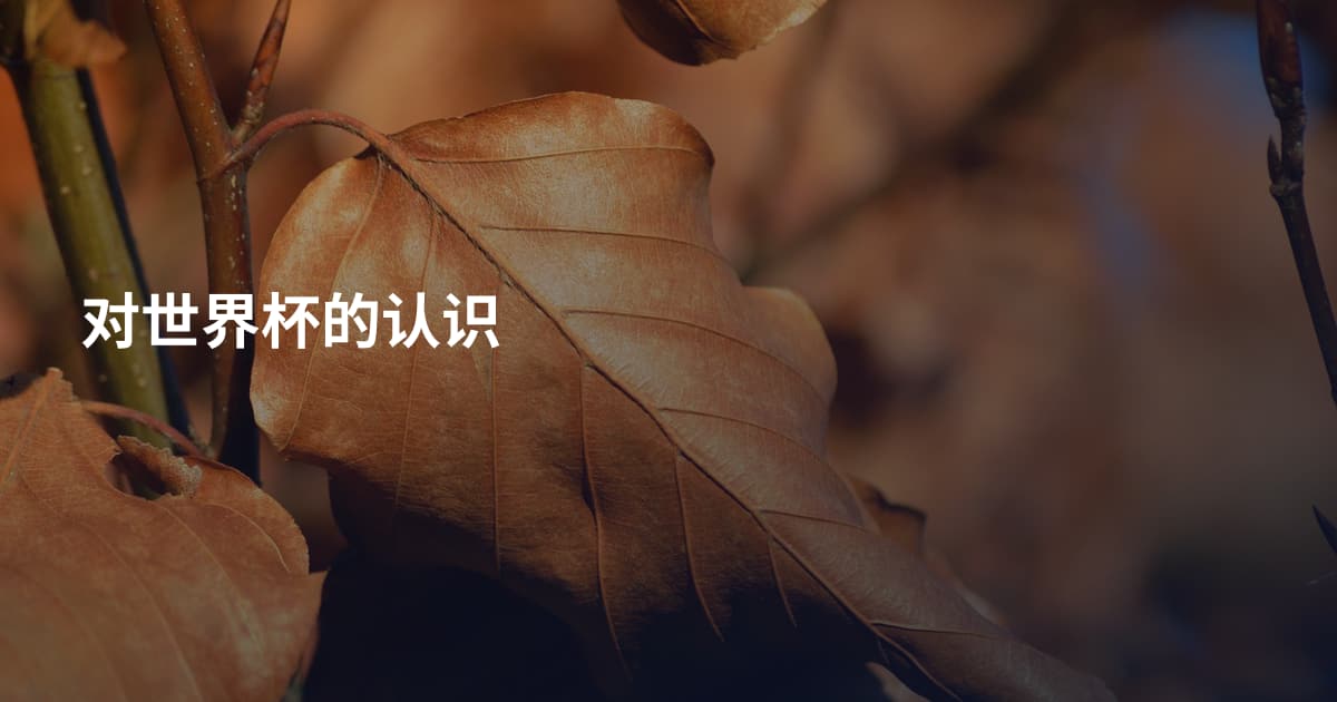 对世界杯的认识