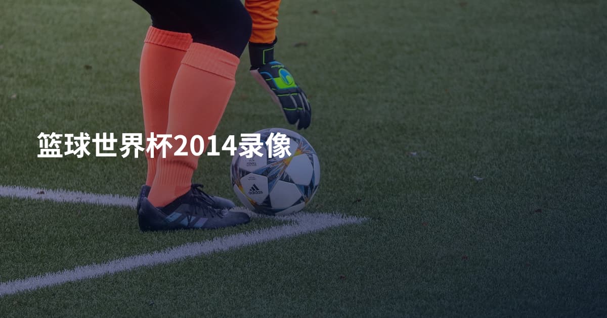 篮球世界杯2014录像