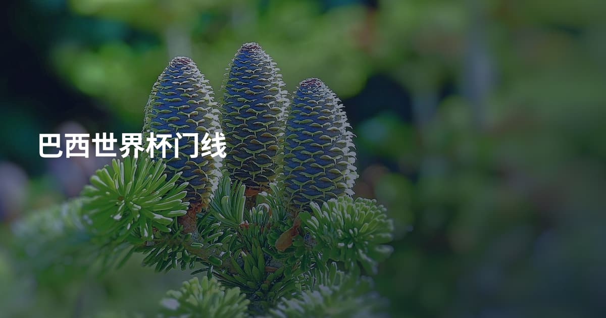 巴西世界杯门线