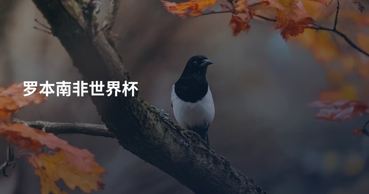 罗本南非世界杯