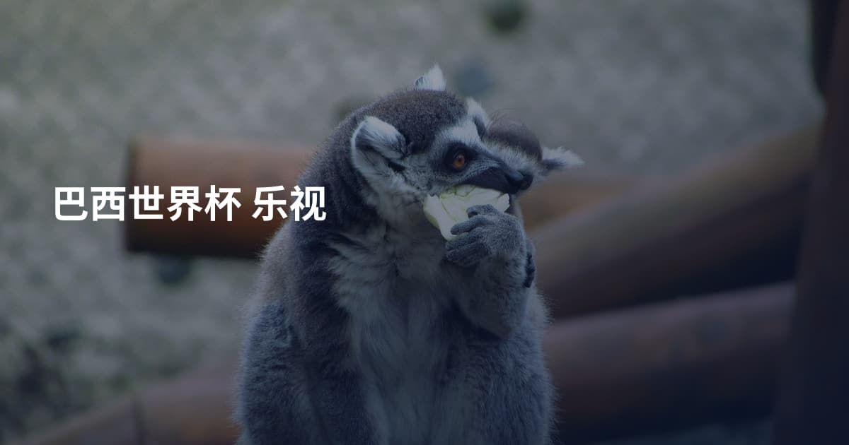 巴西世界杯 乐视