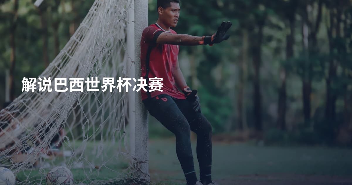 解说巴西世界杯决赛