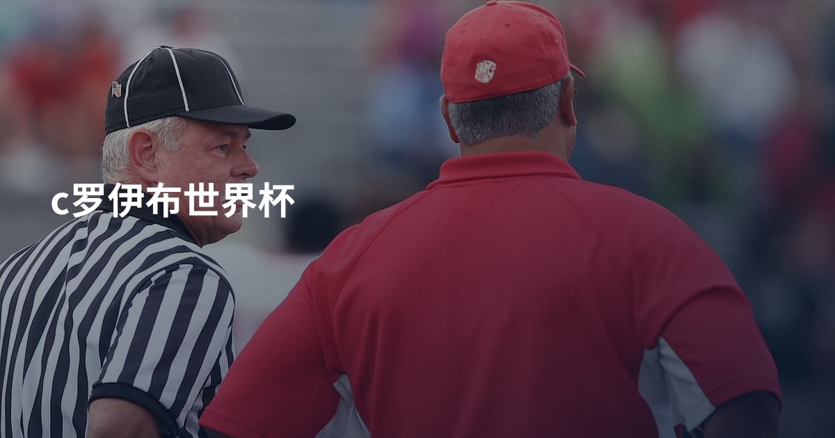 c罗伊布世界杯