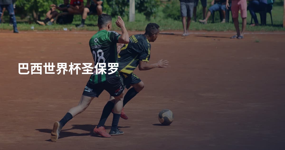 巴西世界杯圣保罗