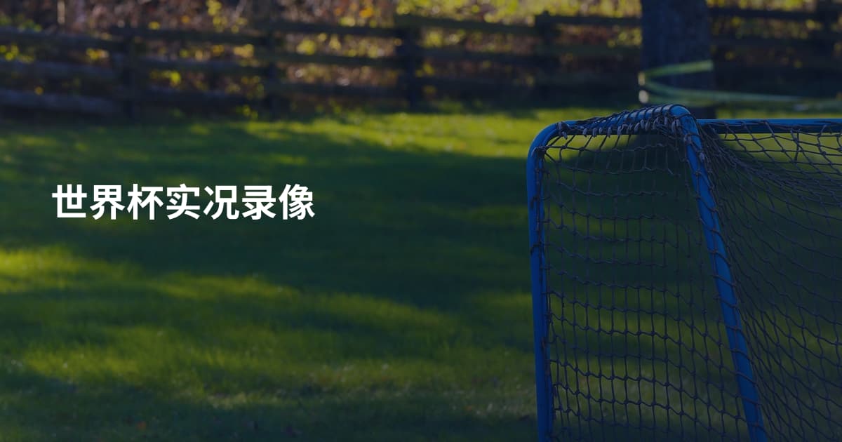 世界杯实况录像
