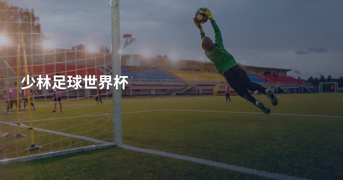 少林足球世界杯