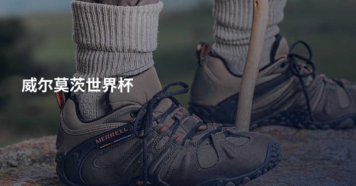威尔莫茨世界杯