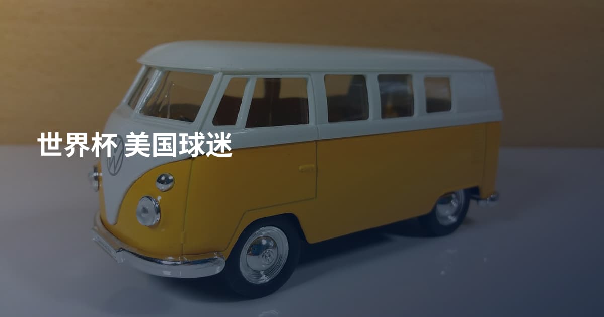 世界杯 美国球迷