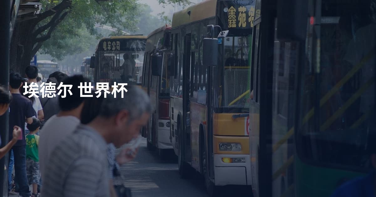 埃德尔 世界杯