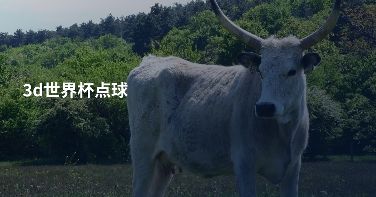 3d世界杯点球