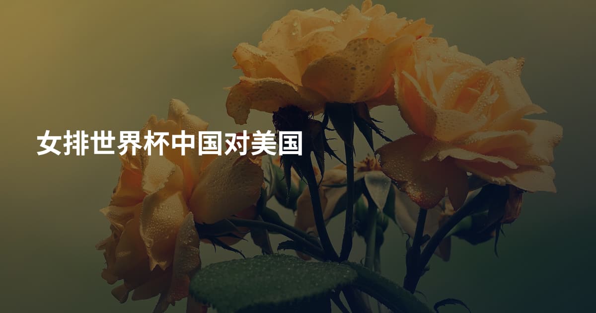女排世界杯中国对美国
