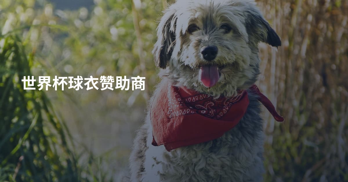 世界杯球衣赞助商