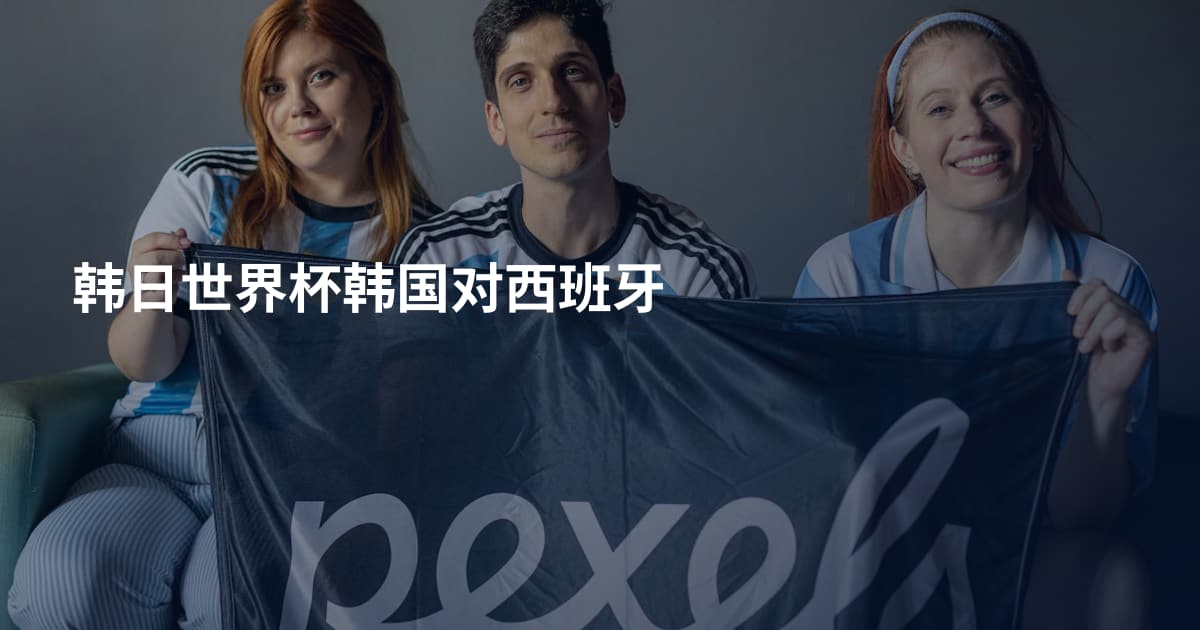 韩日世界杯韩国对西班牙