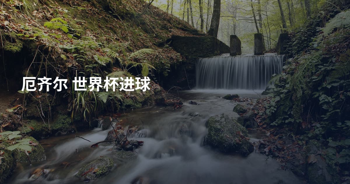 厄齐尔 世界杯进球