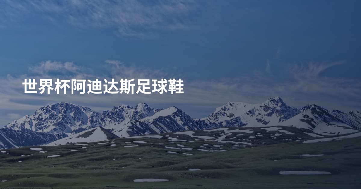 世界杯阿迪达斯足球鞋