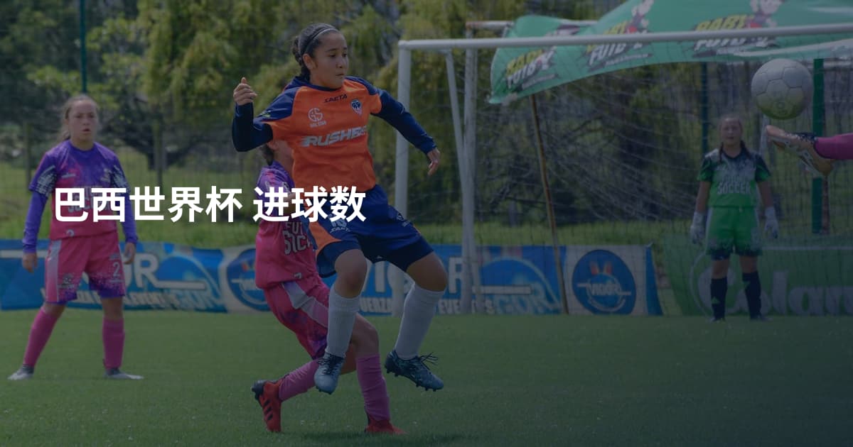 巴西世界杯 进球数