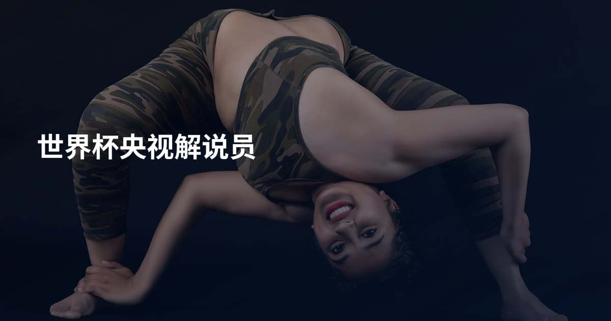 世界杯央视解说员