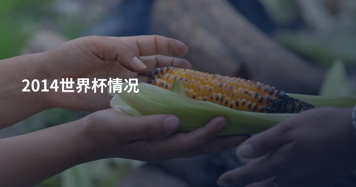 2014世界杯情况