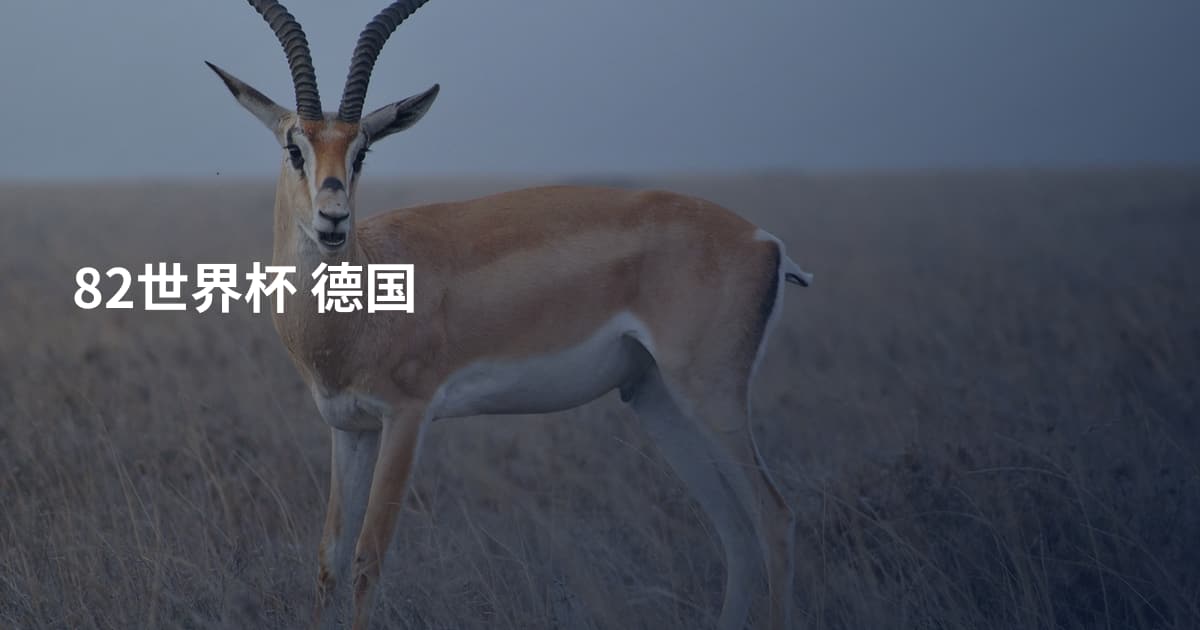 82世界杯 德国