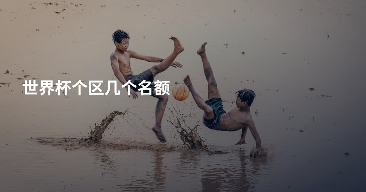 世界杯个区几个名额