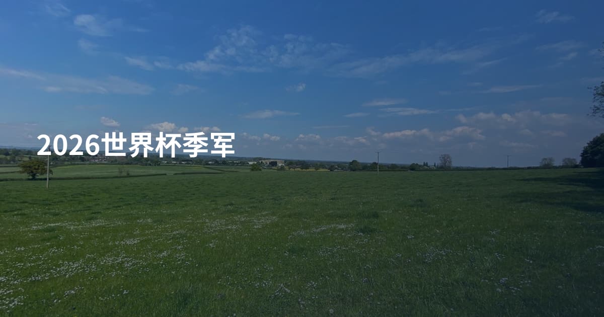 2026世界杯季军