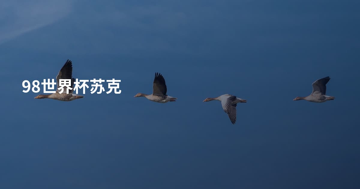 98世界杯苏克