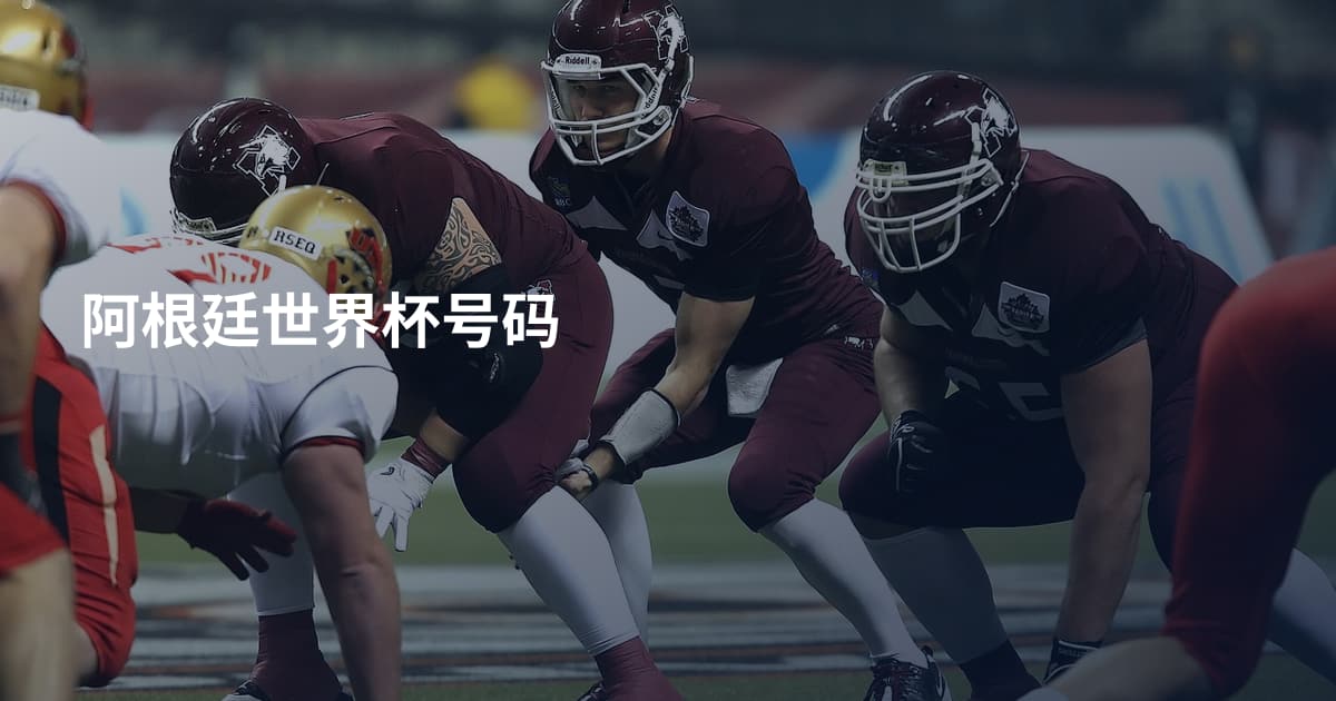 阿根廷世界杯号码