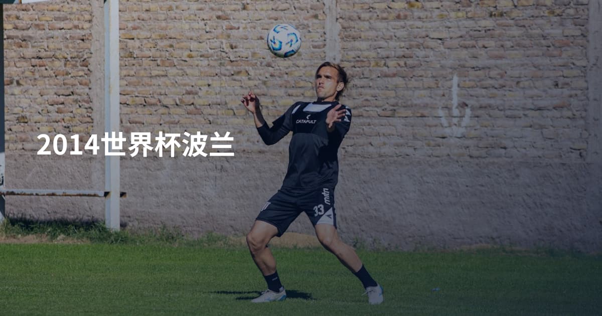 2014世界杯波兰