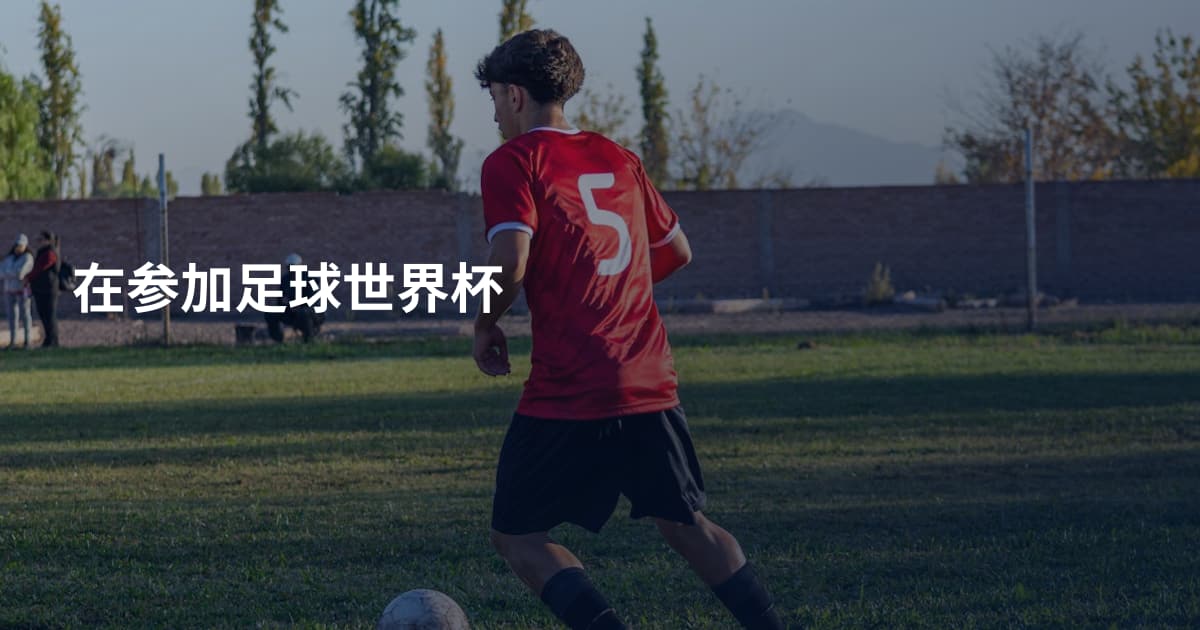 在参加足球世界杯