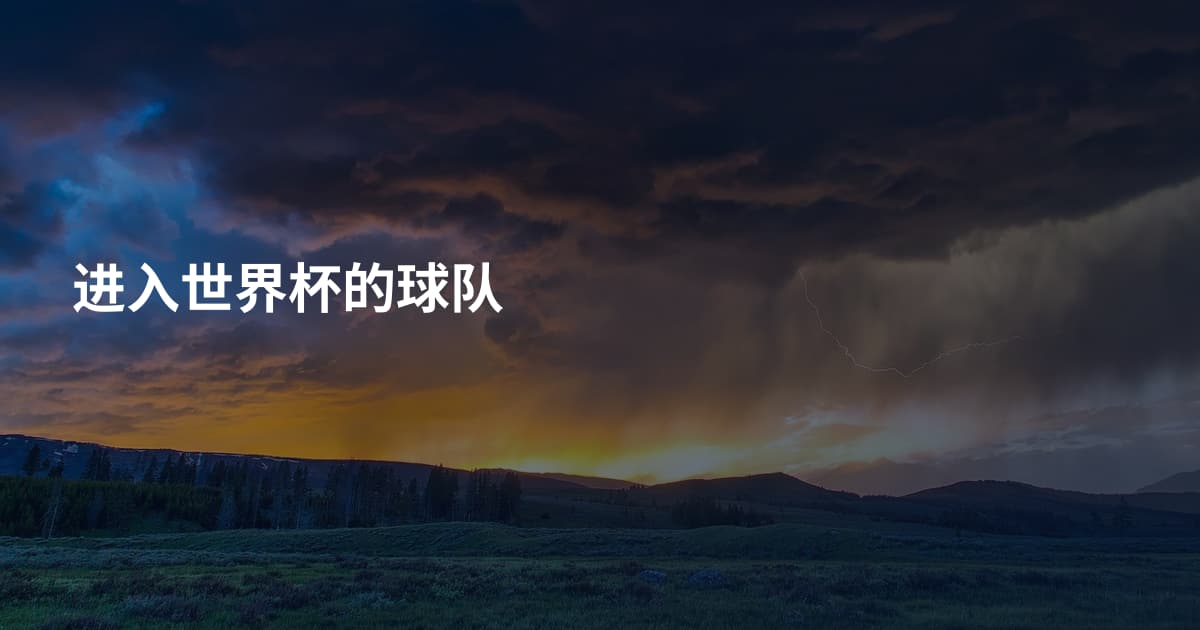 进入世界杯的球队