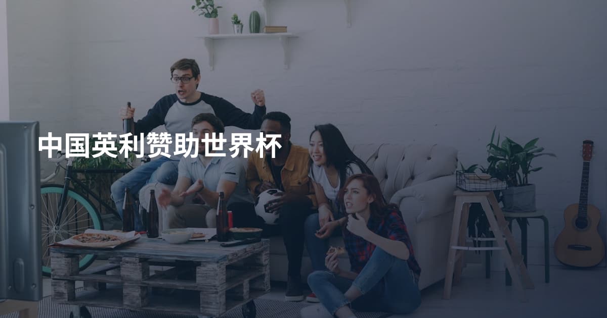 中国英利赞助世界杯