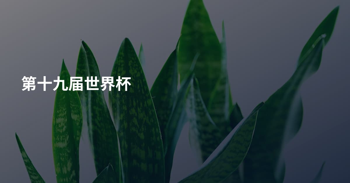 第十九届世界杯