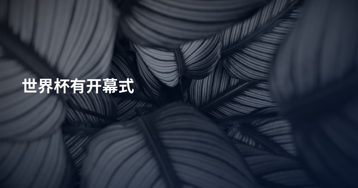 世界杯有开幕式