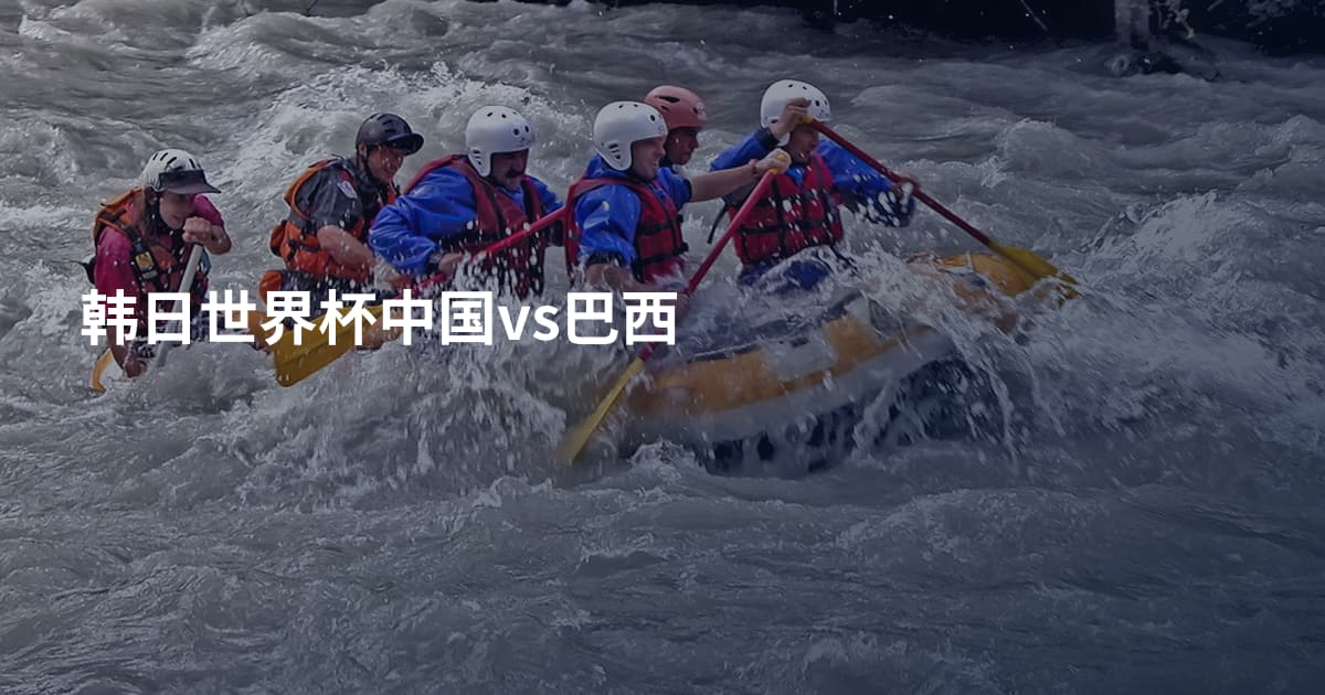 韩日世界杯中国vs巴西