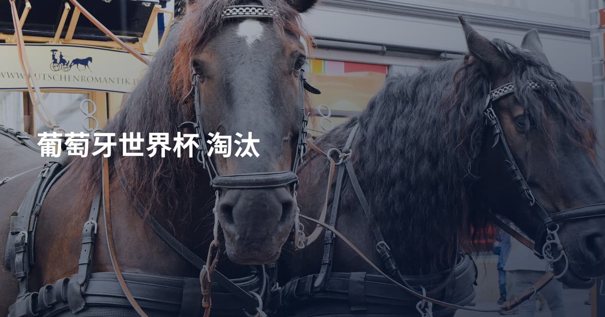 葡萄牙世界杯 淘汰