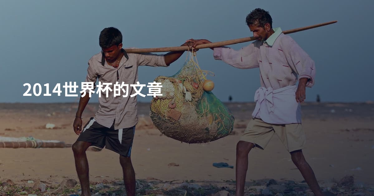 2014世界杯的文章