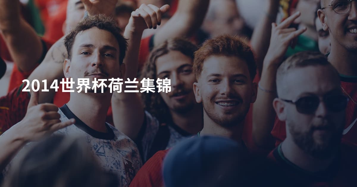 2014世界杯荷兰集锦